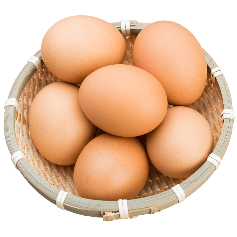 eeg1.png